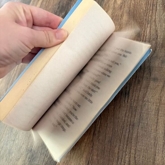 The Snow Jewel by Paula Harrison The Rescue Princesses Scholastic Paperback Book - Picture 4 of 5